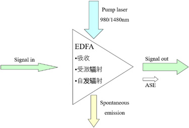图2 EDFA 基本原理图