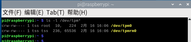图4 TPM 设备驱动识别验证终端界面