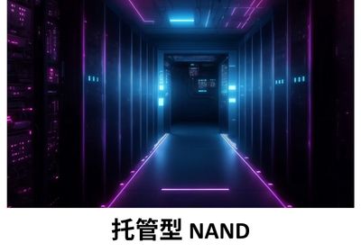 托管型 NAND