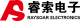 RaysoarElectronics