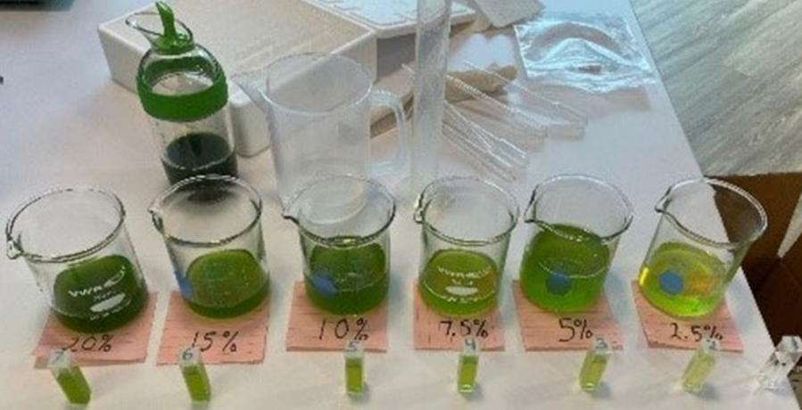 图11 不同浓度的菠菜液汁样品